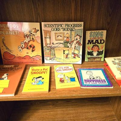 Collection of comic books - Snoopy - Madd - Calvin & Hobbs