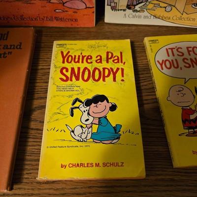 Collection of comic books - Snoopy - Madd - Calvin & Hobbs
