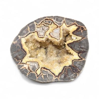 Sale Photo Thumbnail #54: Septarian nodule, also known as a Septarian geode or sometime referred to as Dragon Stone.
Approximately 7" wide