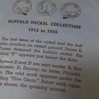 Buffalo Nickles Collection + Other Antique Coins