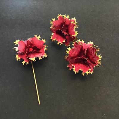 Beautiful pin and stud earrings set