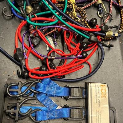 Assorted Bungee Cords & Tie-Down lot