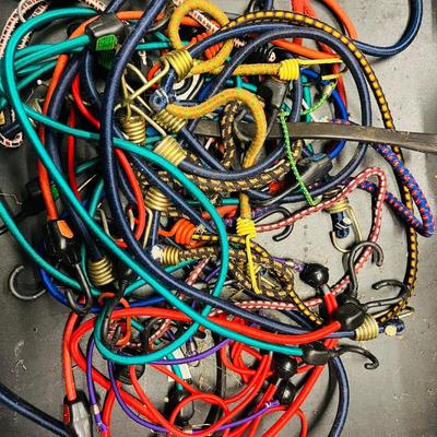 Assorted Bungee Cords & Tie-Down lot