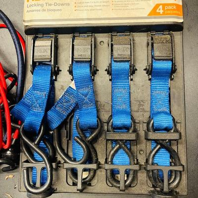 Assorted Bungee Cords & Tie-Down lot