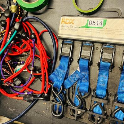 Assorted Bungee Cords & Tie-Down lot