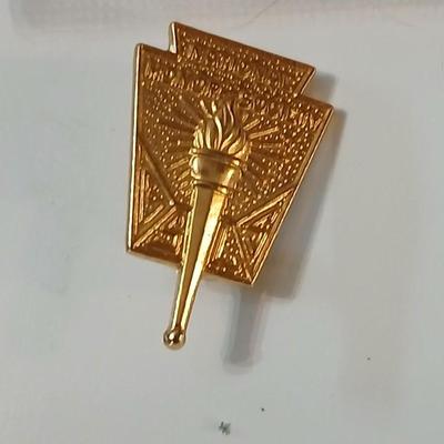 Assortment of award pins with a black fabric covered box