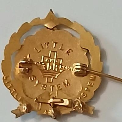 Assortment of award pins with a black fabric covered box