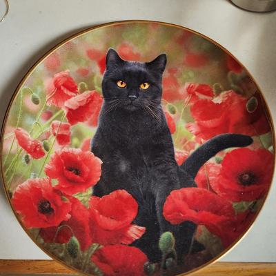 Cat Plates