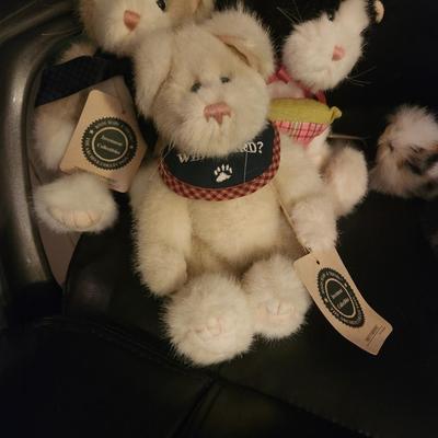 Cat Plushes