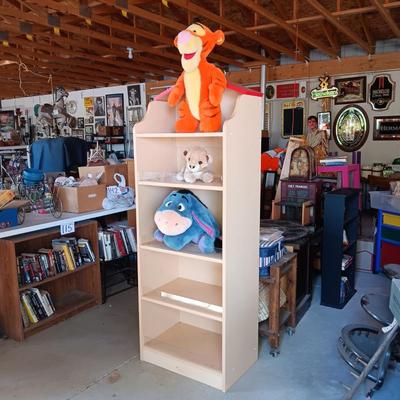 DISPLAY SHELF W/4" PLEXIGLASS ON EACH SHELF FRONT (TO KEEP THINGS FROM FALLING OFF)