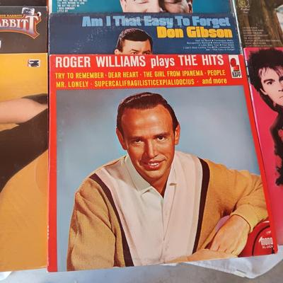 A VARIETY OF MUSIC ON VINYL RECORD ALBUMS (2)
