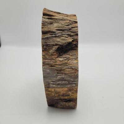 Petrified Wood Bookends (B2-EL)