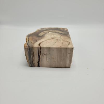 Petrified Wood Bookends (B2-EL)