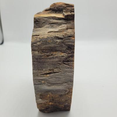 Petrified Wood Bookends (B2-EL)