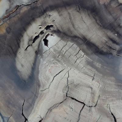 Petrified Wood Bookends (B2-EL)