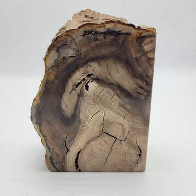 Petrified Wood Bookends (B2-EL)