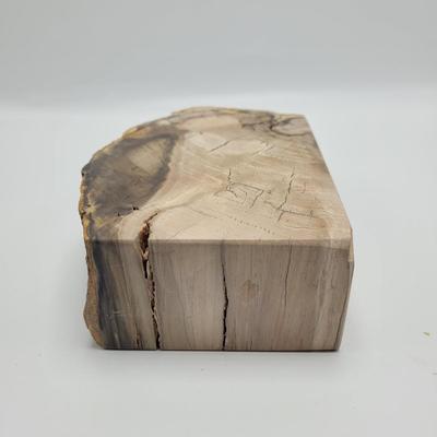 Petrified Wood Bookends (B2-EL)