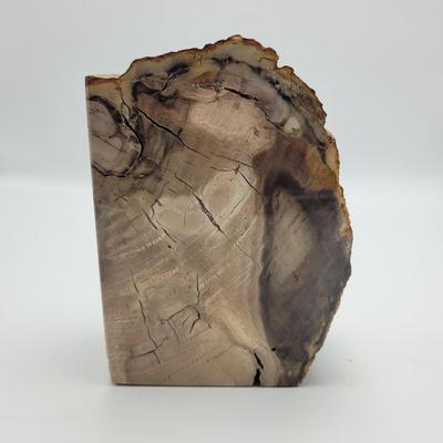Petrified Wood Bookends (B2-EL)