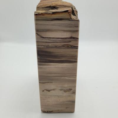 Petrified Wood Bookends (B2-EL)