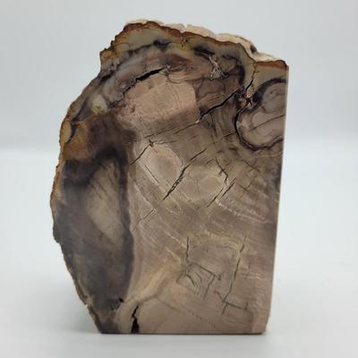 Petrified Wood Bookends (B2-EL)