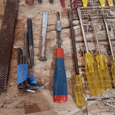 AN ASSORTMENT OF HAND TOOLS