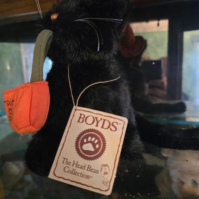Boyds cat