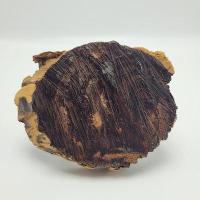 Two Quartz Agate in Wooden Displays (B2-EL)