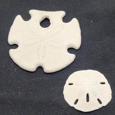 Spiny Oyster, Brain Coral, Starfish, and More (B2-EL)