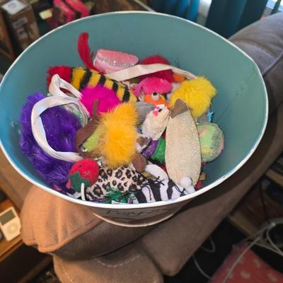 Cat toys