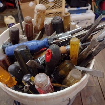 Large Collection of Screwdrivers Various Head Shapes and Lengths