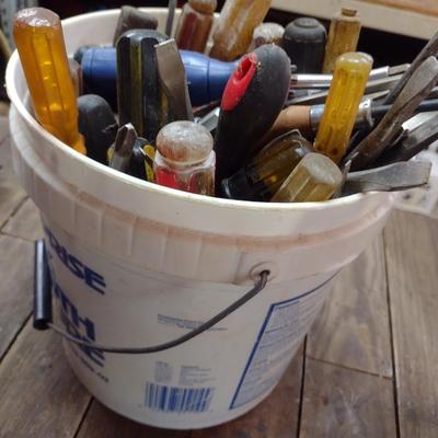 Large Collection of Screwdrivers Various Head Shapes and Lengths