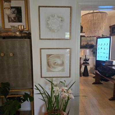 shell art framed