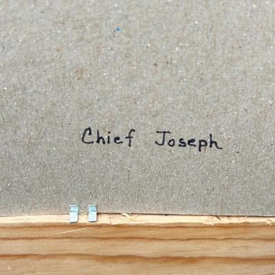 CHIEF SLOW BULL AND CHIEF JOSEPH PRINTS, BUFFALO STATUE AND MORE