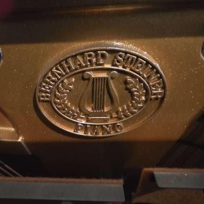 Berhard Steiner Upright Piano