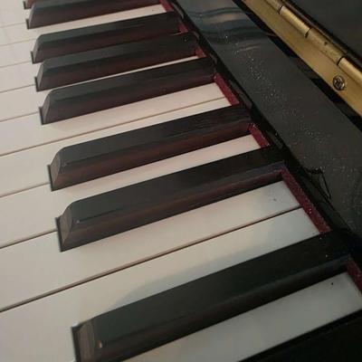Berhard Steiner Upright Piano