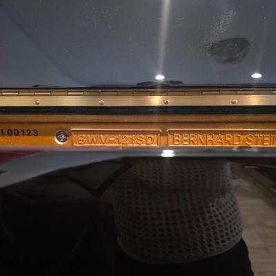 Berhard Steiner Upright Piano