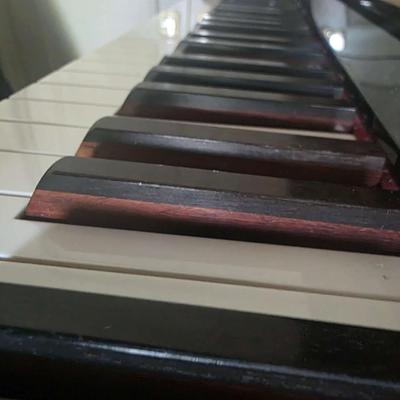 Berhard Steiner Upright Piano