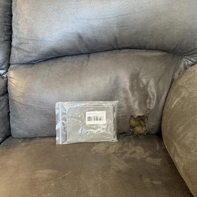 Sale Photo Thumbnail #146: Couch has a rip, come with a patch for repair