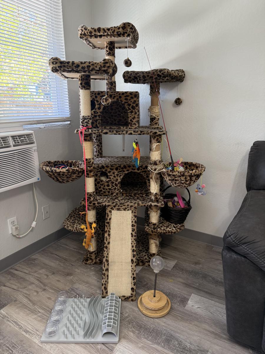 Leopard Print Cat Tree with Toys | EstateSales.org