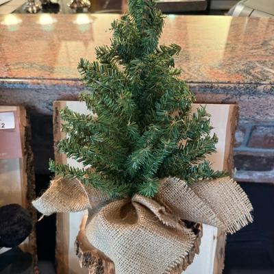 Sale Photo Thumbnail #51: Moose, Bear, and Tree