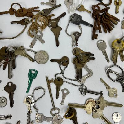 Sale Photo Thumbnail #310: Many varieties, in fair to good condition.