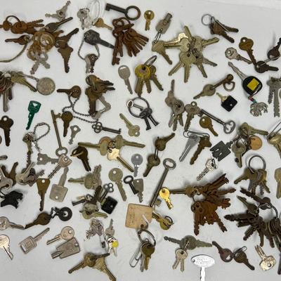 Sale Photo Thumbnail #305: Many varieties, in fair to good condition.