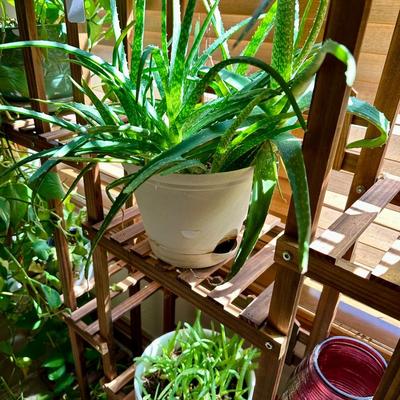 Furniture - Wooden Plant Stand w/ live plants, decor and Black Parsons Chairs w/white covers