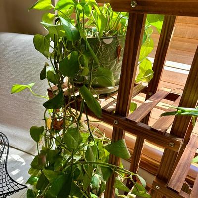 Furniture - Wooden Plant Stand w/ live plants, decor and Black Parsons Chairs w/white covers