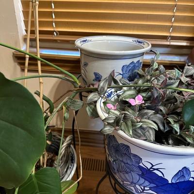 Decor Blue & White Planters with Plants