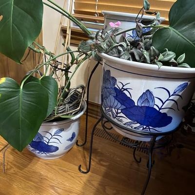 Decor Blue & White Planters with Plants