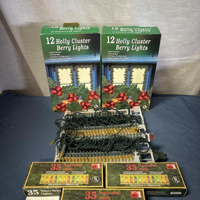 Christmas Light Lot
