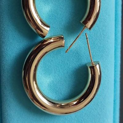 Fashion Earrings