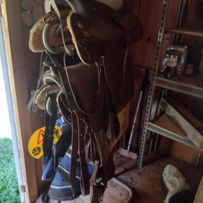 Metal Three Arm Saddle Rest Stand Choice C (No Contents)