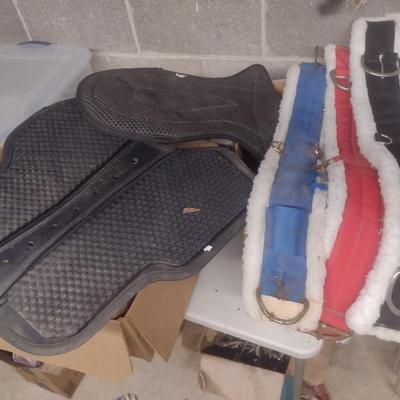 Horse Riding Accessories Girths and Saddle Pads